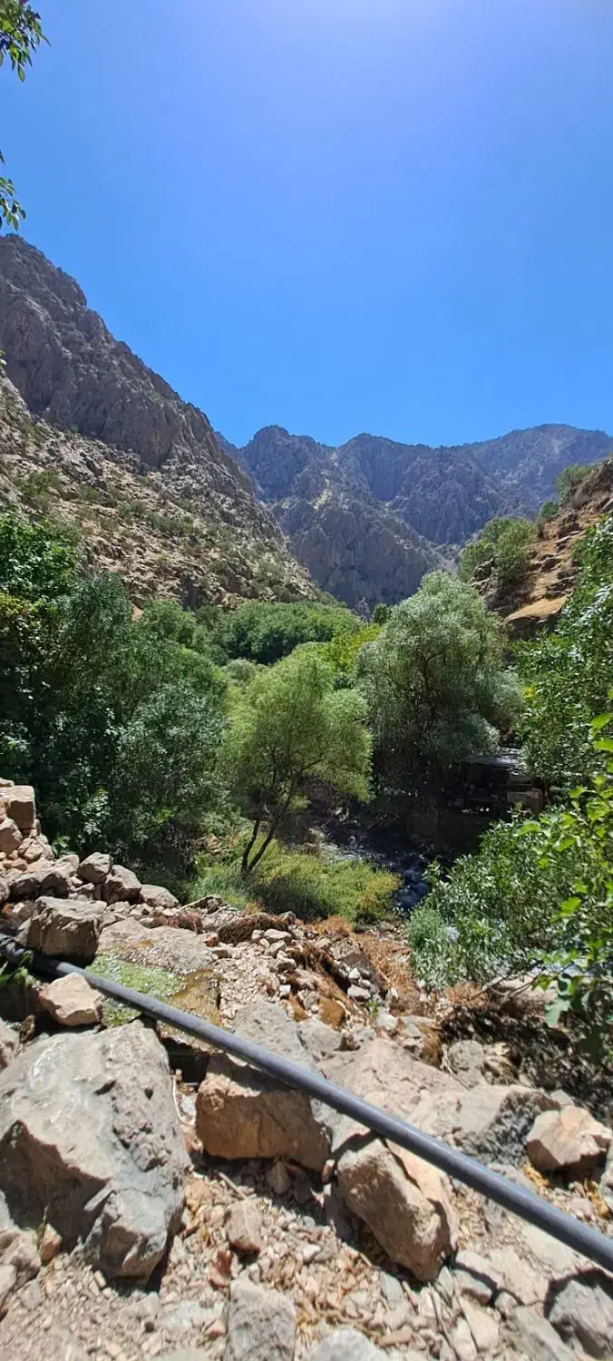 طبیعت گردی|فعالیت داوطلبانه|تهران, سازمان برنامه شمالی|دیوار