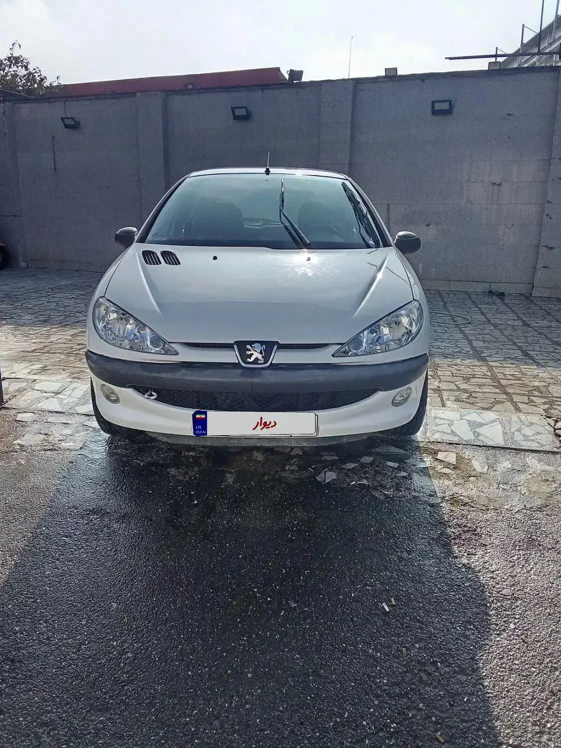 ۲۰۶ مدل ۱۳۹۵بی رنگ|خودرو سواری و وانت|رشت, کاکتوس|دیوار