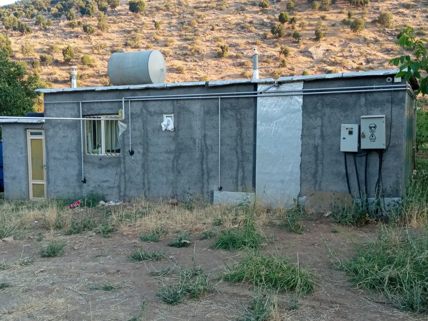 فروش باغ گردوی پیوندی به ثمر رسیده|فروش دفتر صنعتی، کشاورزی، تجاری|نمشیر, |دیوار