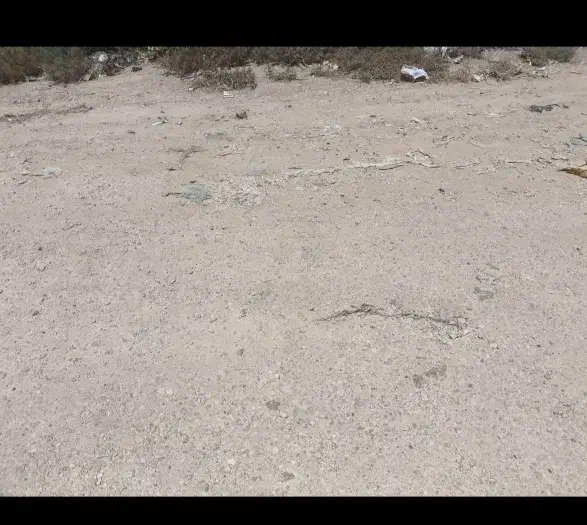 فروش زمین ۵۰۰متری درشهرک گچی|فروش دفتر صنعتی، کشاورزی، تجاری|شیراز, گچی|دیوار