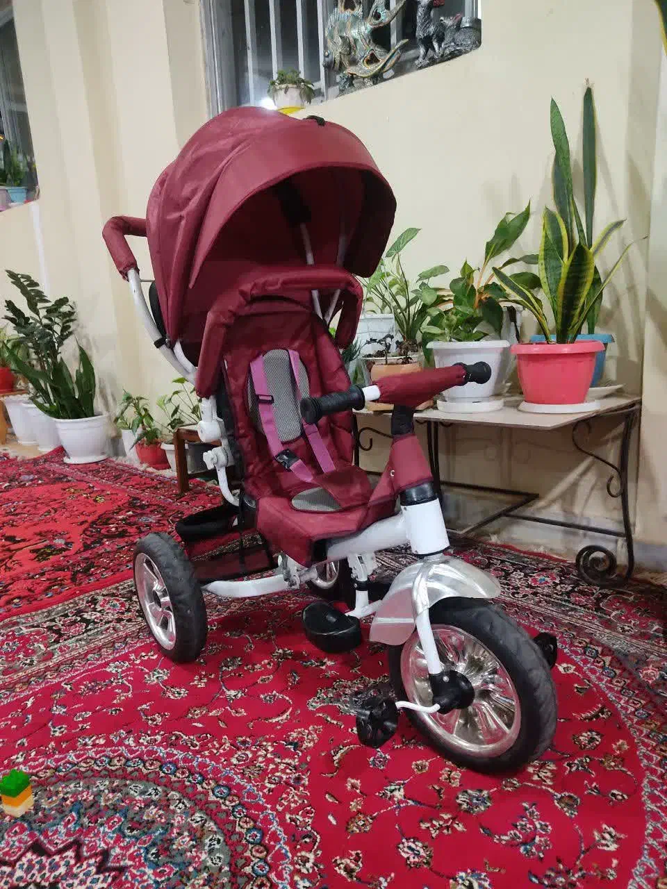 سه چرخه|دوچرخه، اسکیت، اسکوتر|لاهیجان, آهندان|دیوار