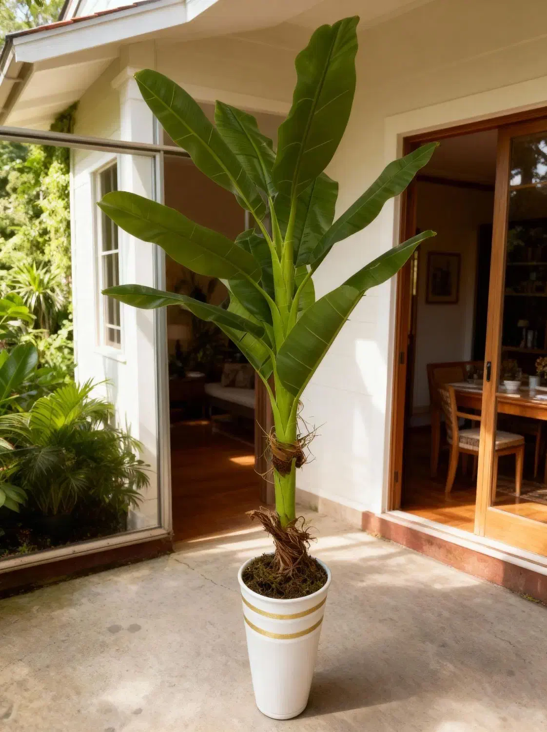 درختچه مصنوعی وارداتی|گل مصنوعی|آفتاب, |دیوار