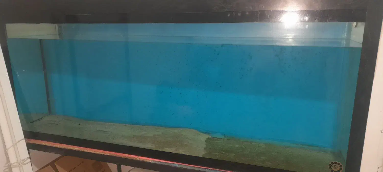آکواریوم سایز بزرگ|ماهی|خرمآباد, |دیوار