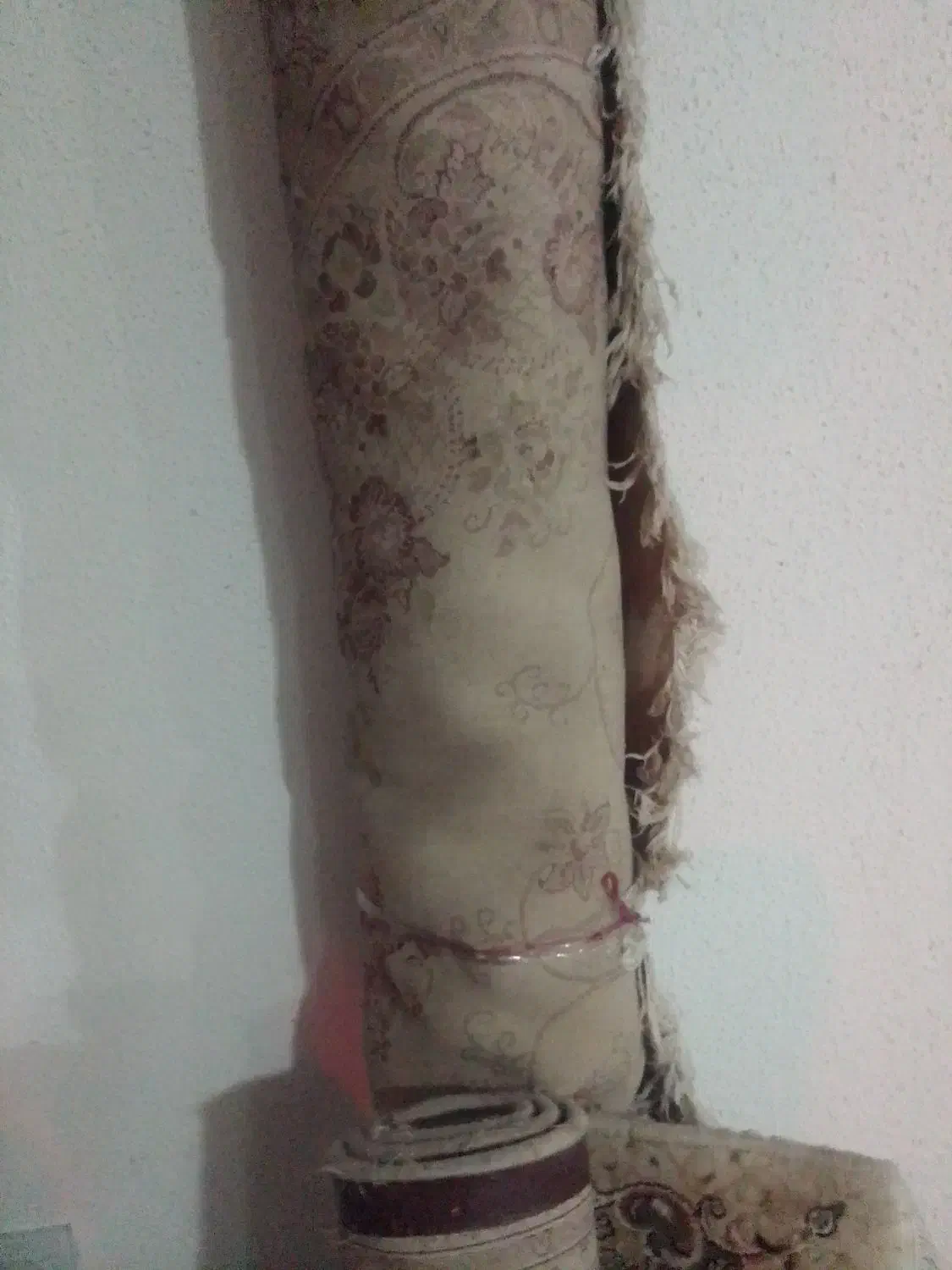 فرش و قالیچه|فرش|رشت, سعدی (تختی)|دیوار