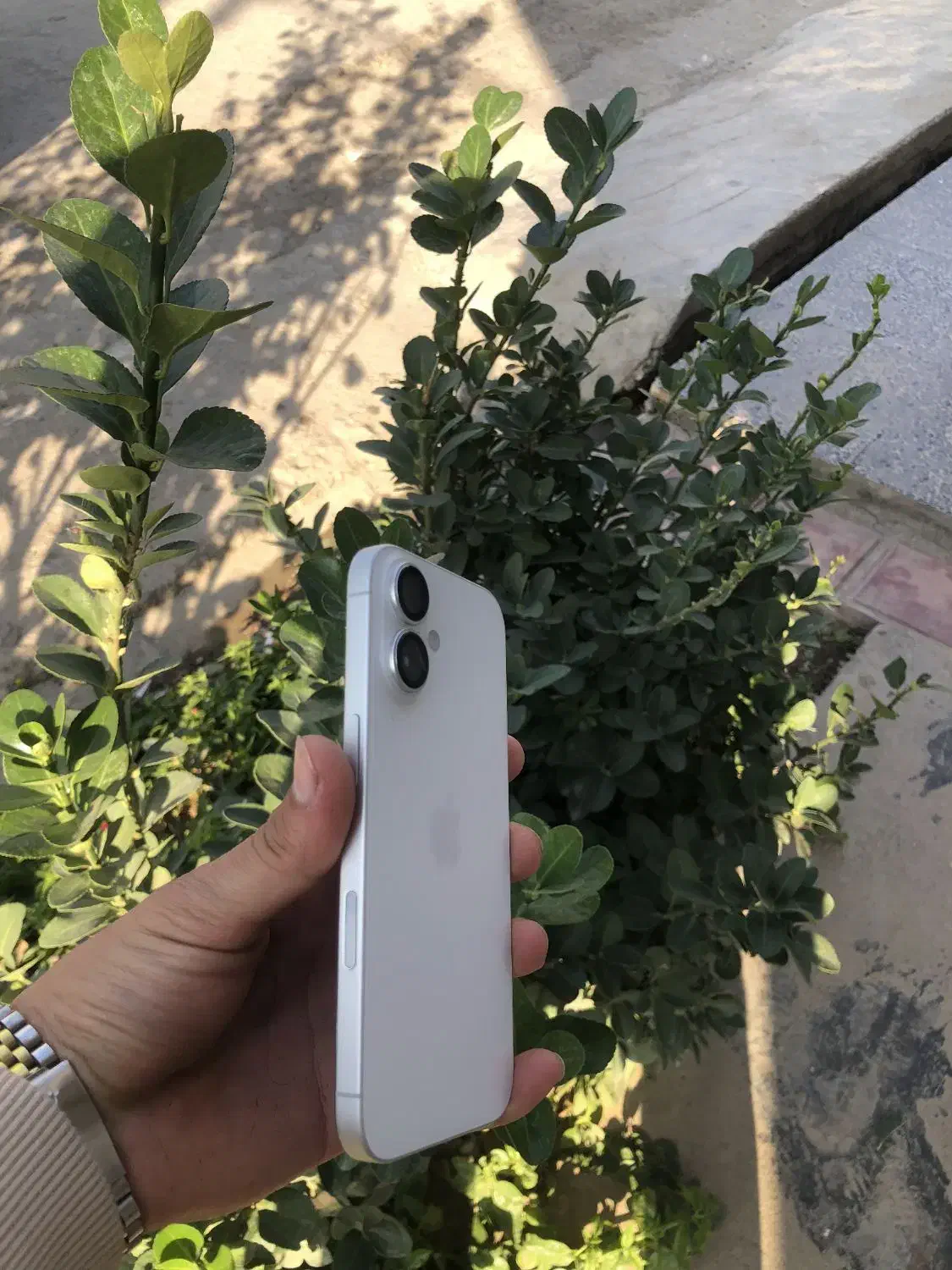 آیفون 16 درحد آکبند|موبایل|گنبد کاووس, |دیوار