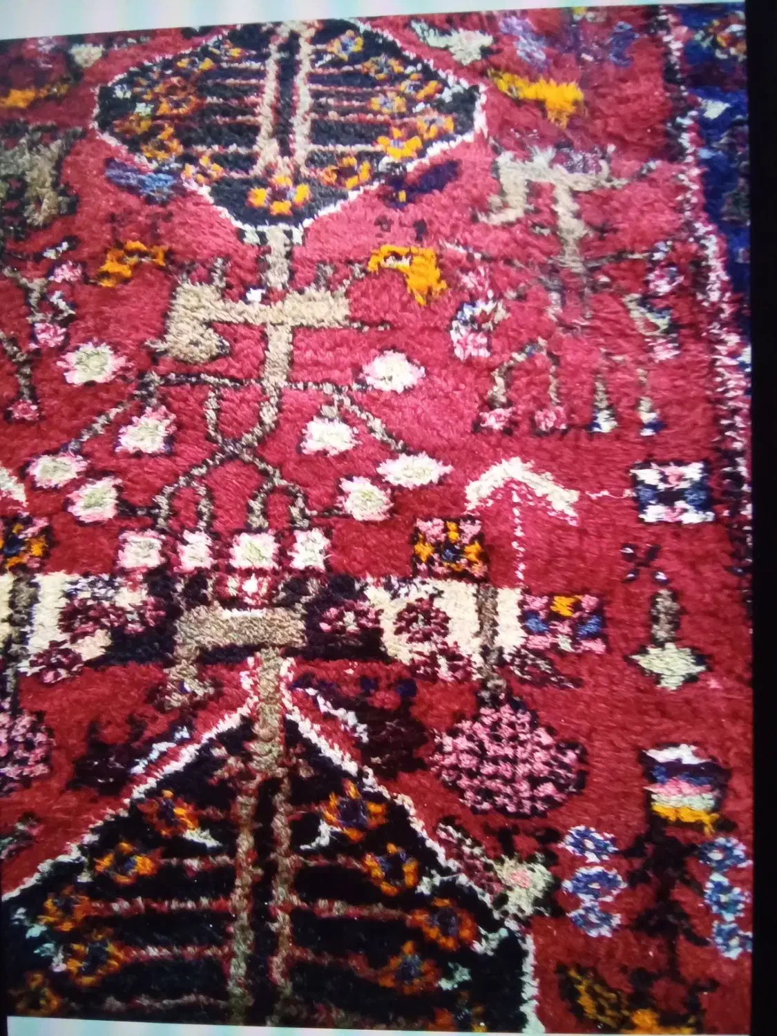 فرش دستبافت|فرش|لنگرود, |دیوار