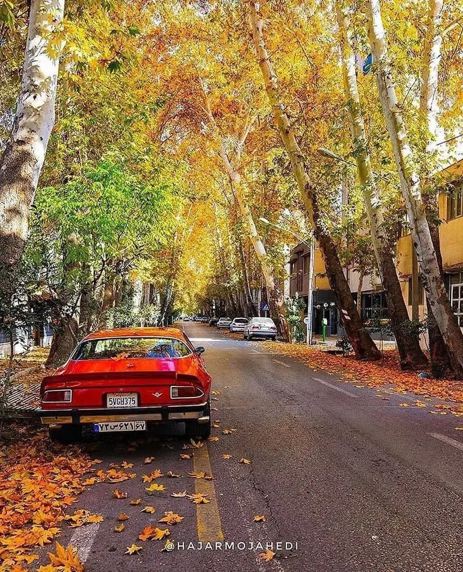 127متر2خواب/گل طبقات/کلیدنخورده/مثلث طلایی/خاص|فروش آپارتمان|اراک, |دیوار