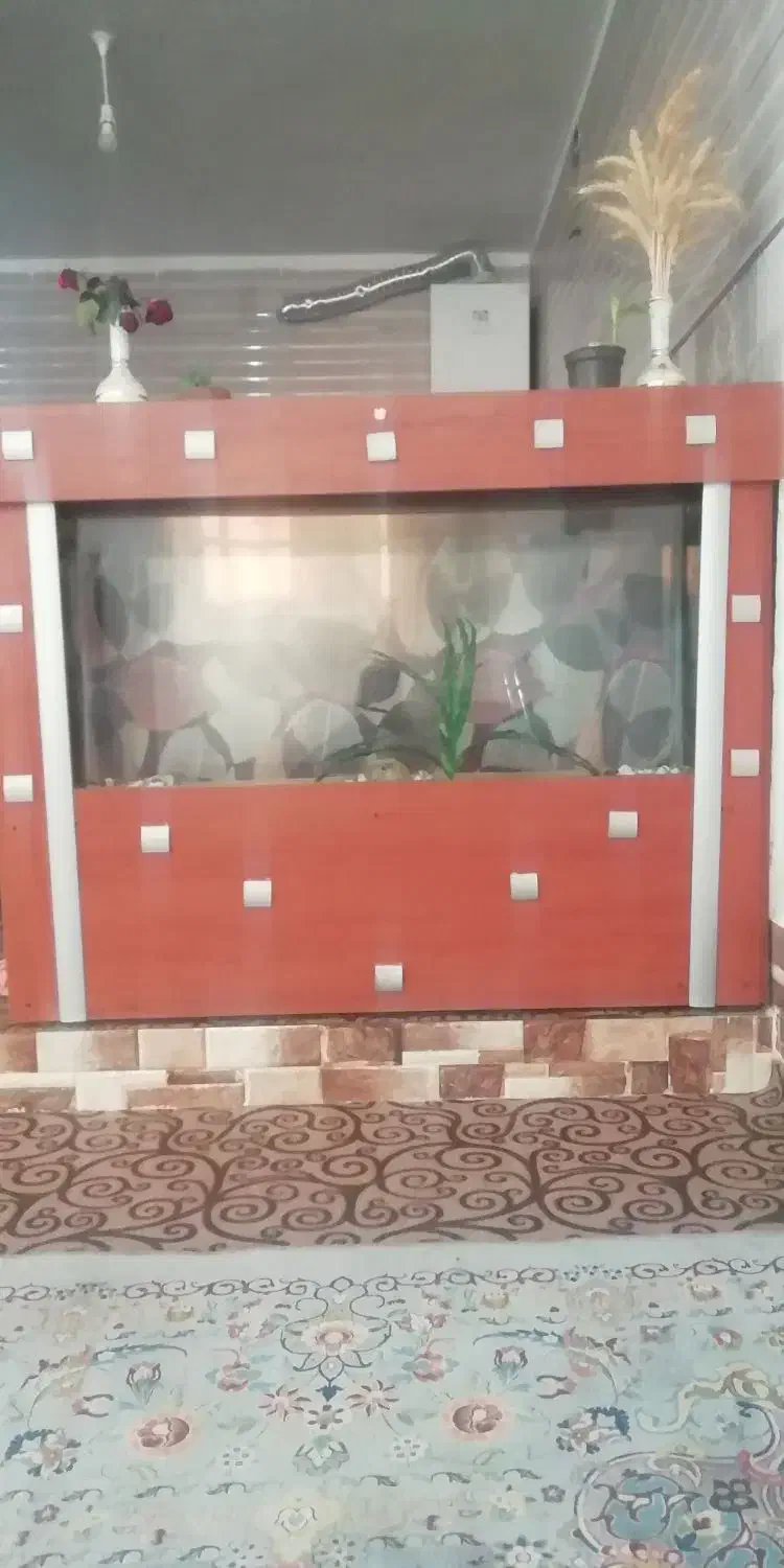 آکواریوم ماهی|ماهی|فیروزآباد (فارس), |دیوار