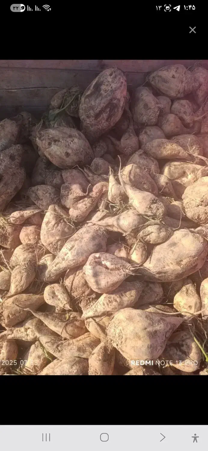 پرس یونجه|خدمات باغبانی و درختکاری|سیاهکل, |دیوار