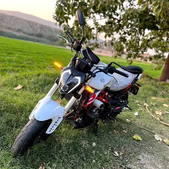 موتور بنلی ۳۰۰ ، مدل ۱۴۰۰|موتورسیکلت|گرگان, |دیوار