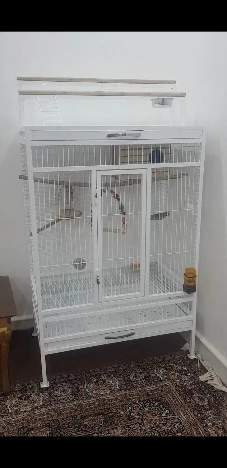 قفس پرنده|لوازم جانبی حیوانات|شهریار, شهرک بهاران (ویره)|دیوار