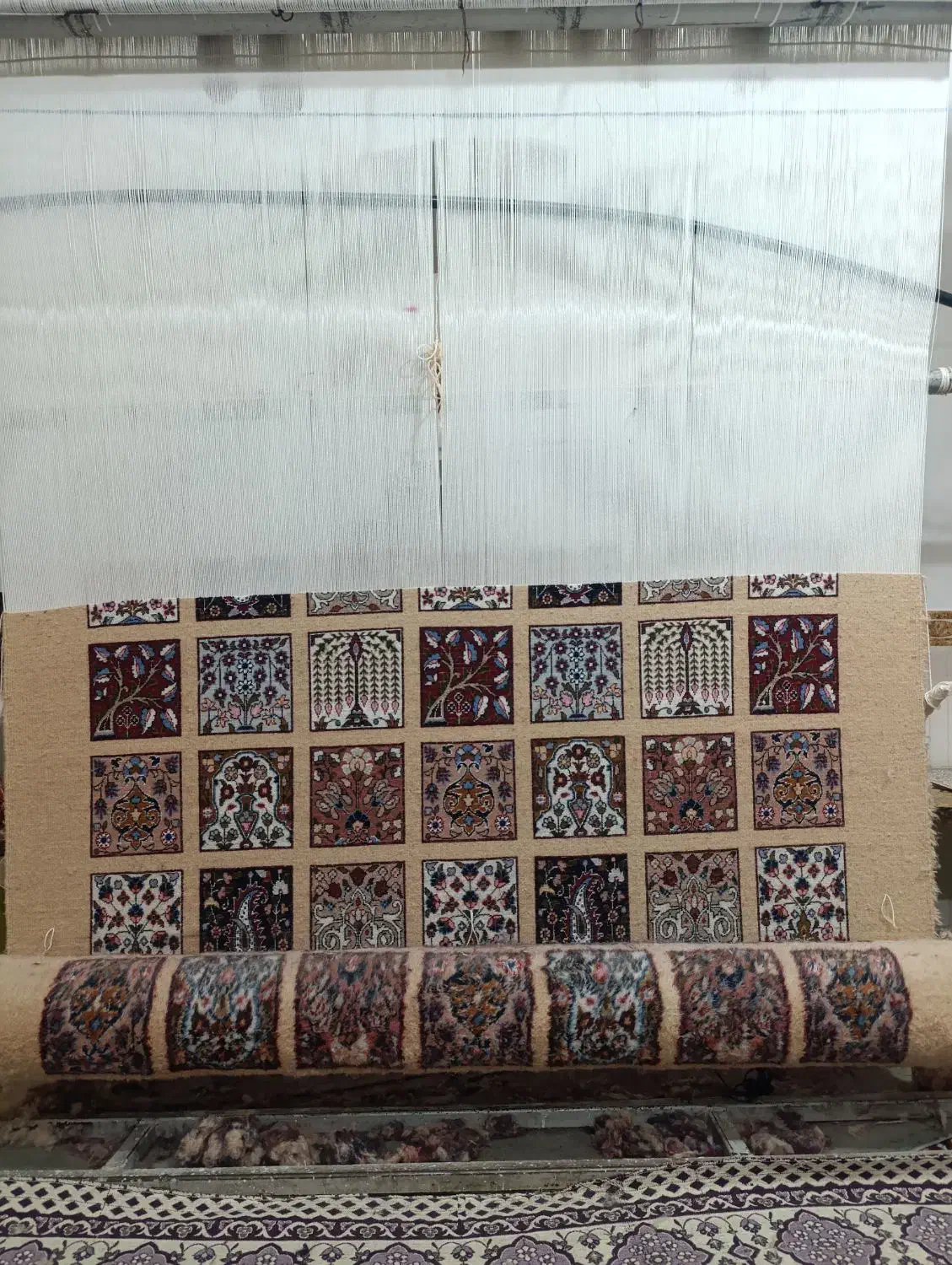 فرش سه متری|فرش|بیرجند, |دیوار