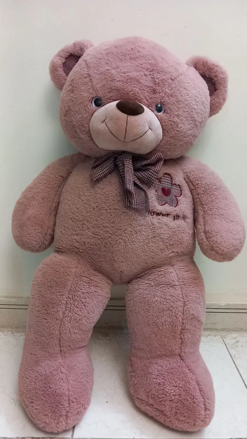 خرس پولیشی|اسباب‌‌بازی|قائم‌شهر, |دیوار