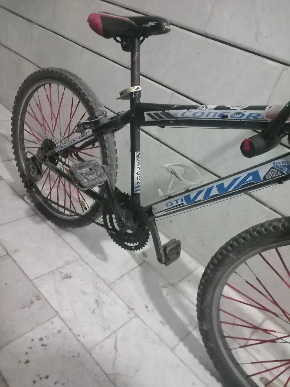 دوچرخه ۲۴ ویوا|دوچرخه، اسکیت، اسکوتر|گلستان (تهران), |دیوار