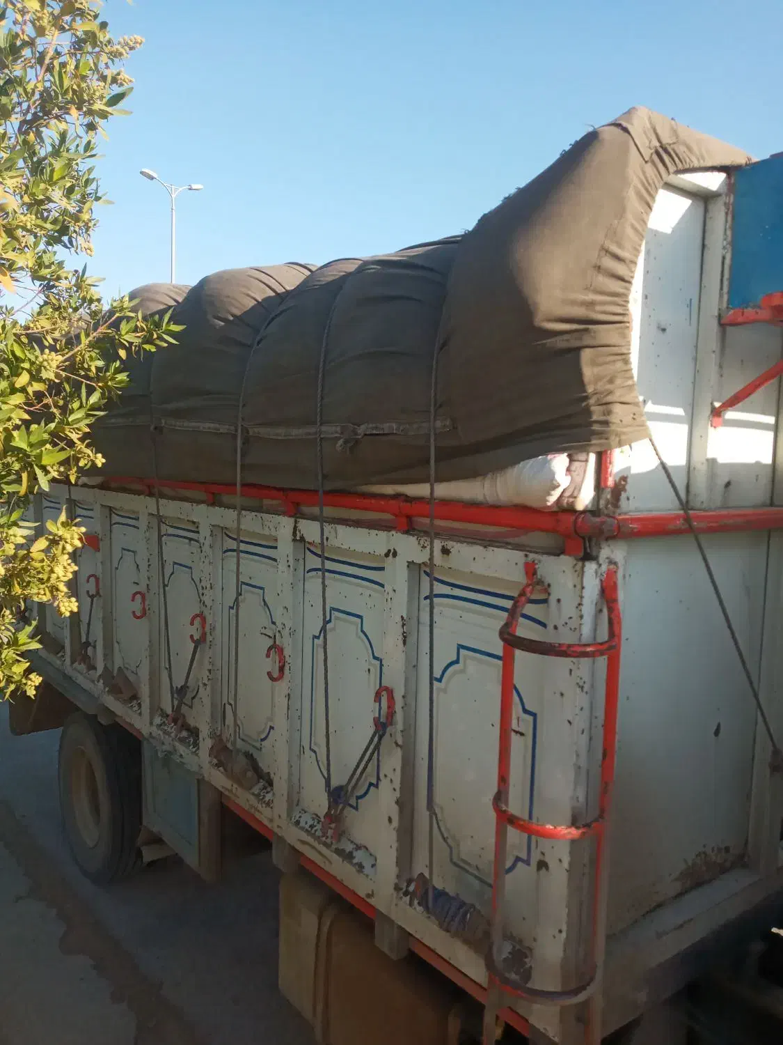 کاه دام و گوسفند|حیوانات مزرعه|خورموج, |دیوار