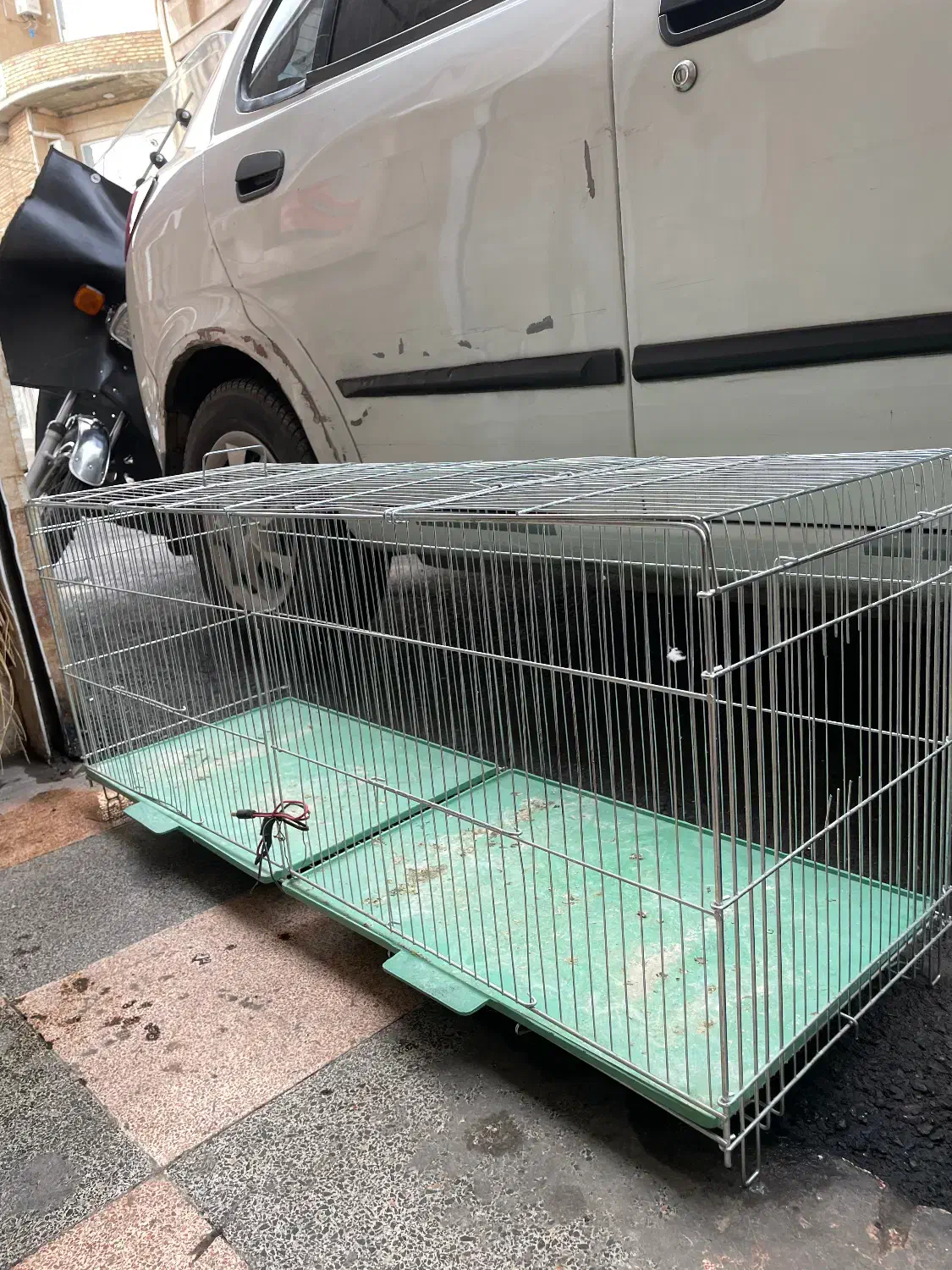 قفس|لوازم جانبی حیوانات|خوی, |دیوار