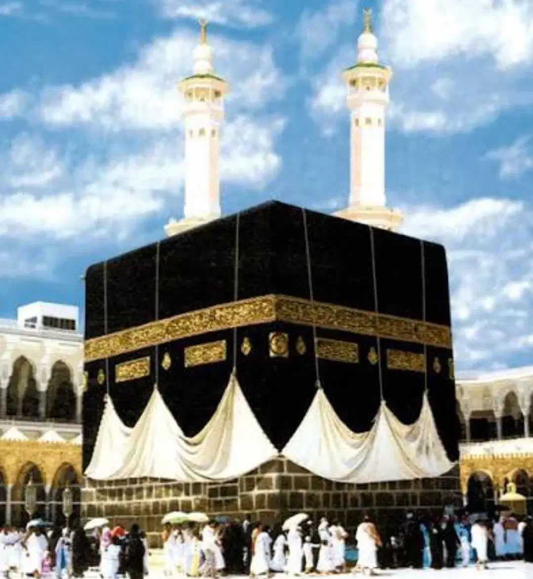 دو عدد فیش حج تمتع ۸۶/۹|تور و چارتر|تهران, تهرانپارس جنوبی|دیوار