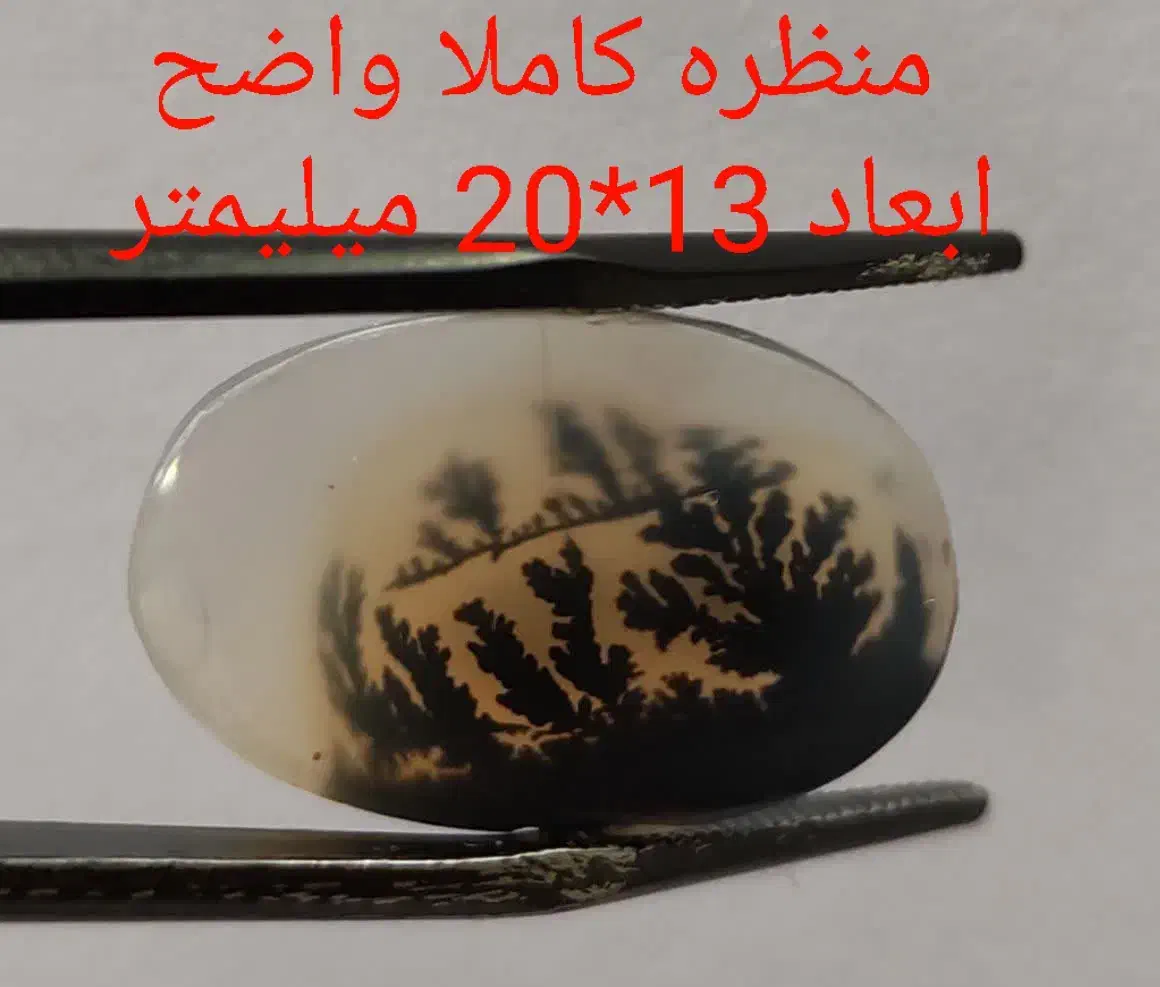 حراجی شجر شماره دو|جواهرات|زنجان, |دیوار