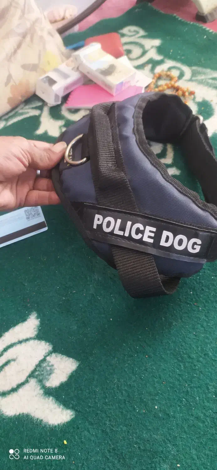 قلاده سگ ژرمن|لوازم جانبی حیوانات|مشهد, رده|دیوار