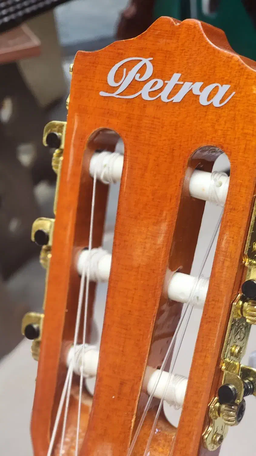 گیتار Petra|گیتار، بیس، امپلیفایر|پردیس, فاز ۲|دیوار