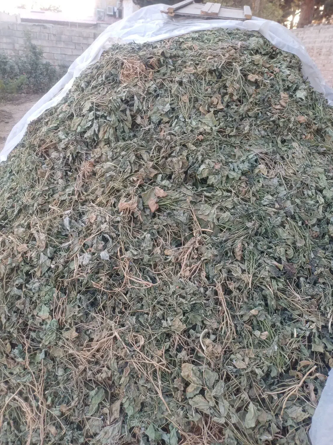 علوفه گاو وگوسفند|لوازم جانبی حیوانات|کرج, شهرک رضوانیه|دیوار