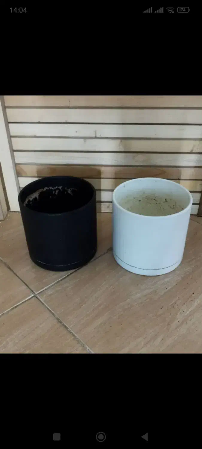 ۴۲ گلدان|گل و گیاه طبیعی|شیراز, شهرک گلدشت حافظ‎|دیوار