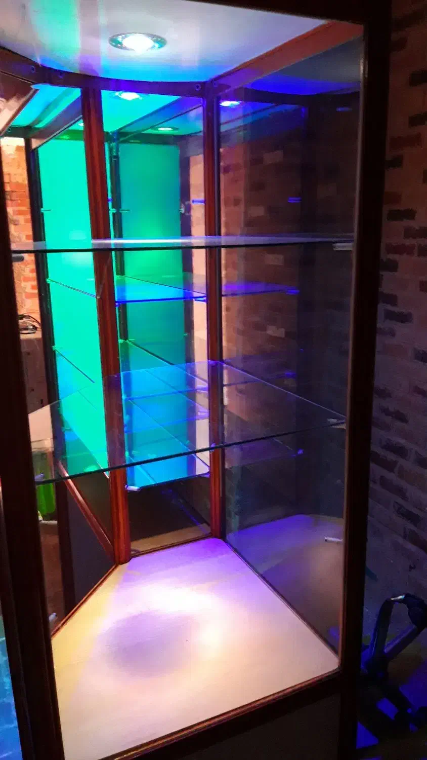 ویترین|فروشگاه و مغازه|شیراز, بالا کفت|دیوار