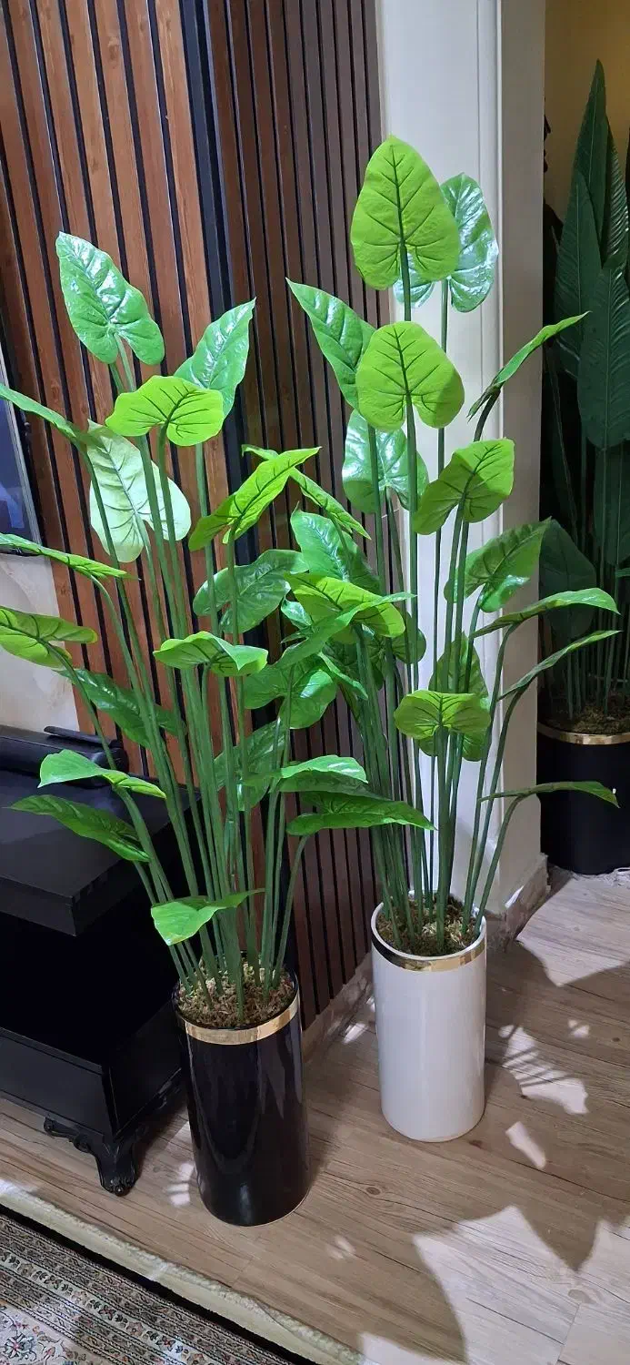 حراج(گل و درختچه مصنوعی خارجی) به مناسبت روز مادر|گل مصنوعی|تهران, تهرانسر شمالی|دیوار