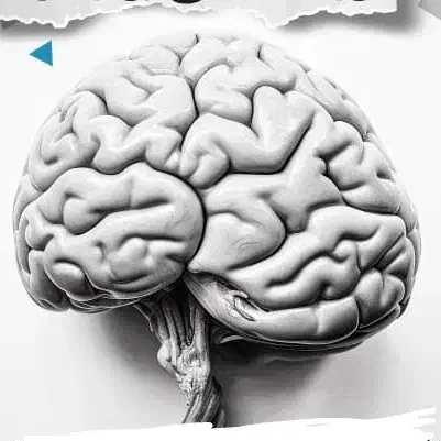 آموزش شطرنج((تقویت هوش و تمرکز))|خدمات آموزشی|شیراز, زرهی|دیوار