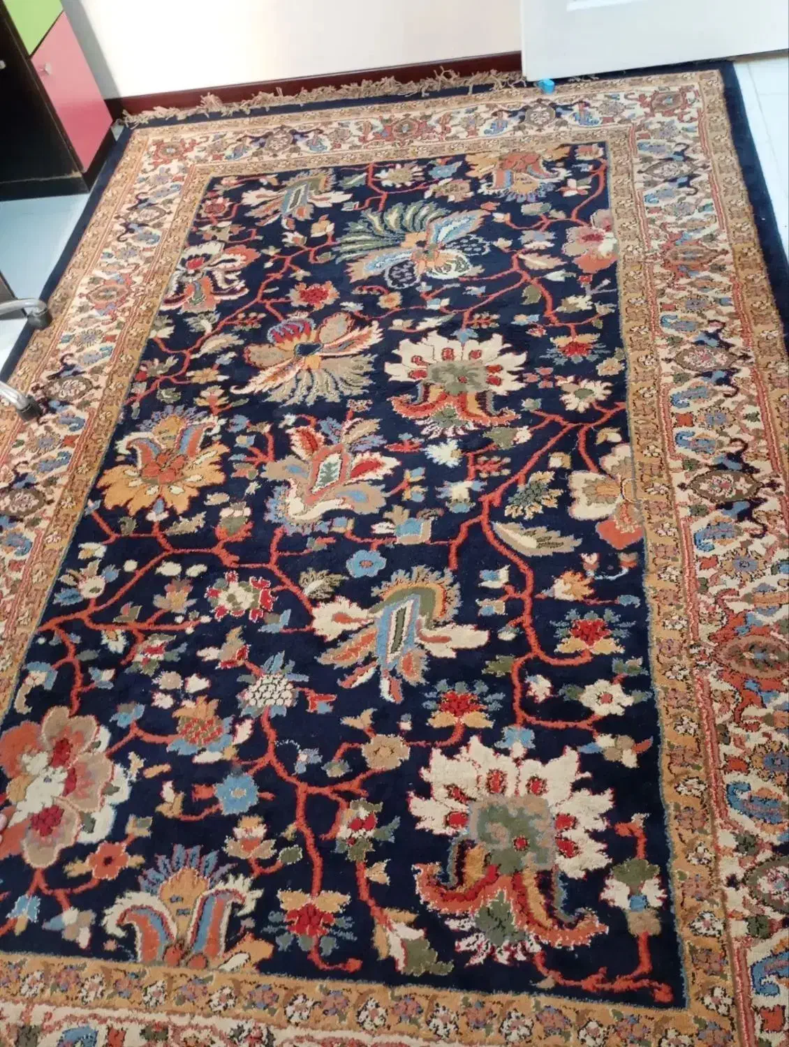 دوتخته فرش ۷۰۰شانه|فرش|بومهن, |دیوار