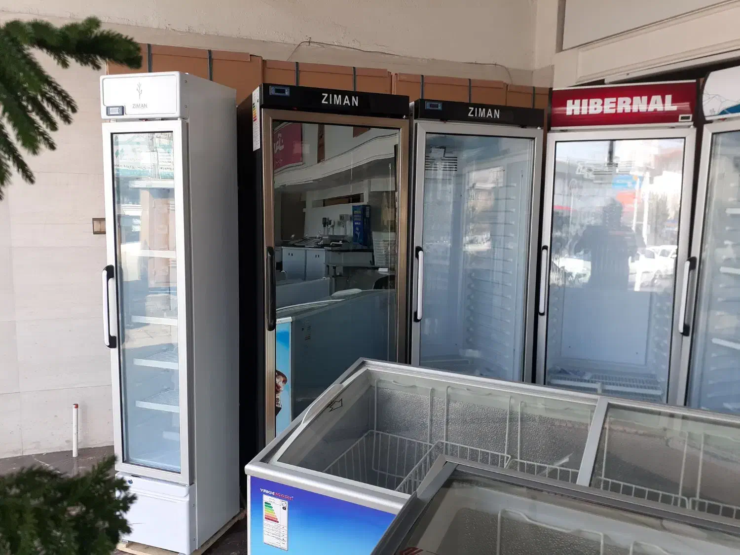 یخچال ایستاده ،یخچال تک درب ،یخچال ویترین|فروشگاه و مغازه|رشت, جانبازان|دیوار