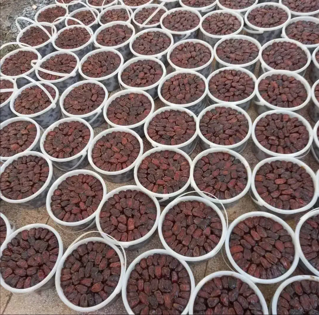 خرما|حراج|تهران, مولوی|دیوار