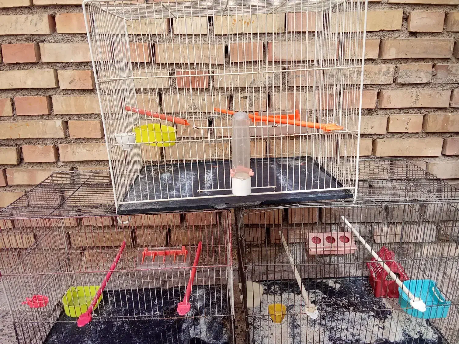 قفس پرنده|لوازم جانبی حیوانات|مشهد, تلگرد|دیوار