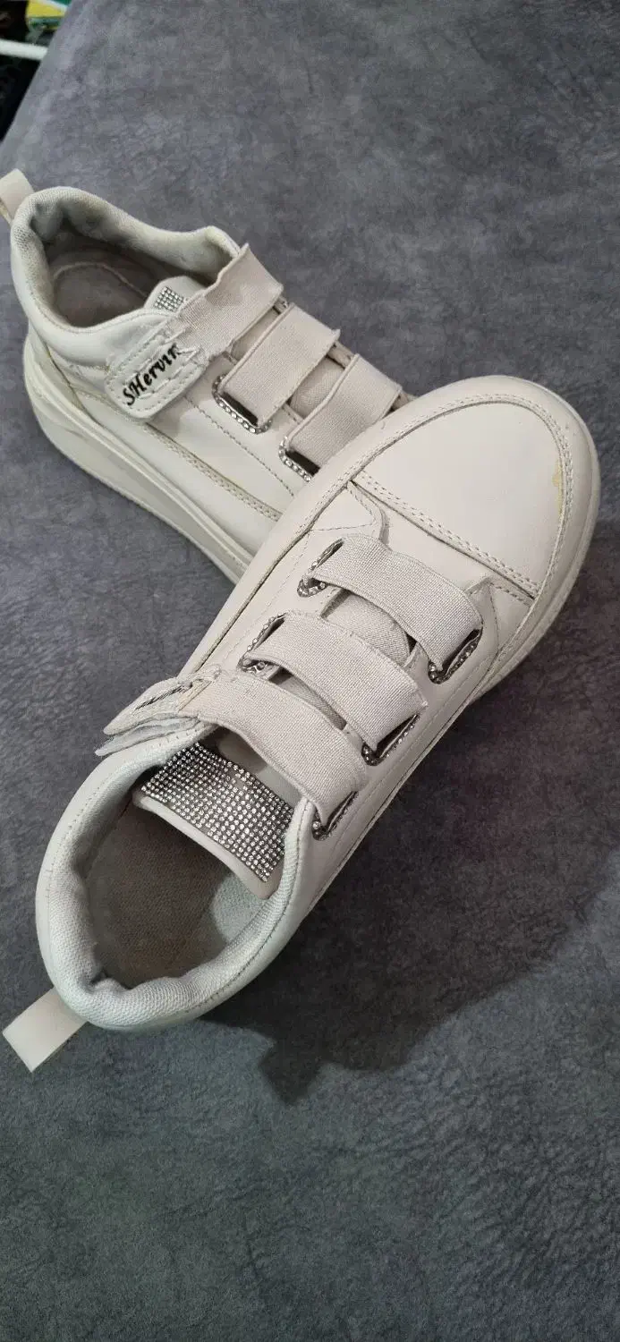 ونس چسبی|کیف، کفش، کمربند|قم, خداکرم|دیوار