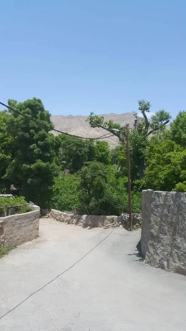 زمین باغی 3 نبش در شهمیرزاد واقع در خیابان ساری|فروش زمین و ملک کلنگی|شهمیرزاد, |دیوار
