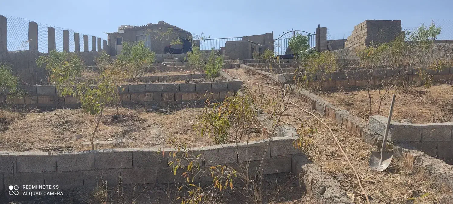 باغ فروشی در روستای مزرعه|فروش خانه و ویلا|صوفیان, |دیوار