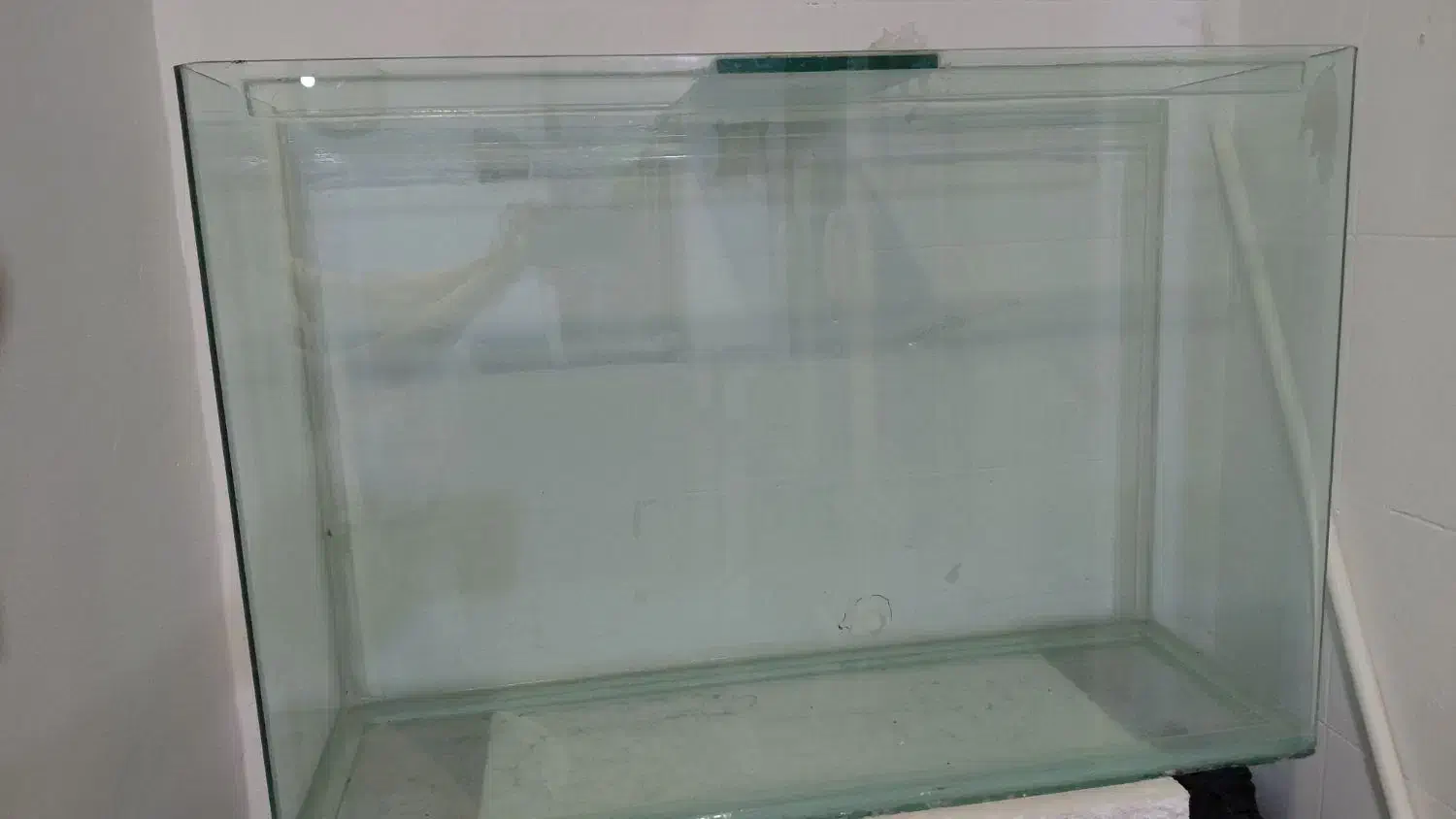 آکواریوم سالم|ماهی|کرج, شهرک اوج|دیوار