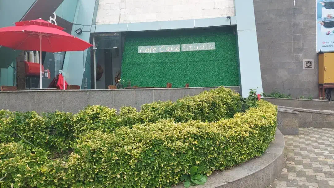 فنس برگی و فنس چمنی|مصالح و تجهیزات ساختمان|خرم‌آباد, |دیوار