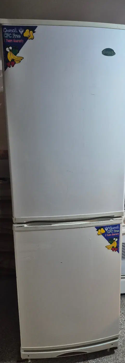 یخچال فریزر|یخچال و فریزر|یزد, |دیوار