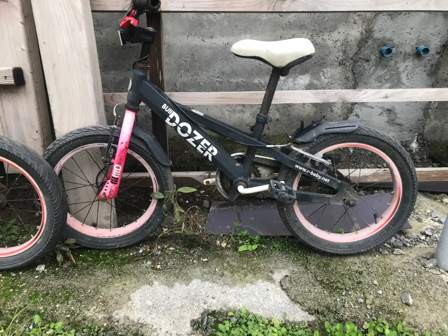 دوچرخه|دوچرخه، اسکیت، اسکوتر|بابل, |دیوار