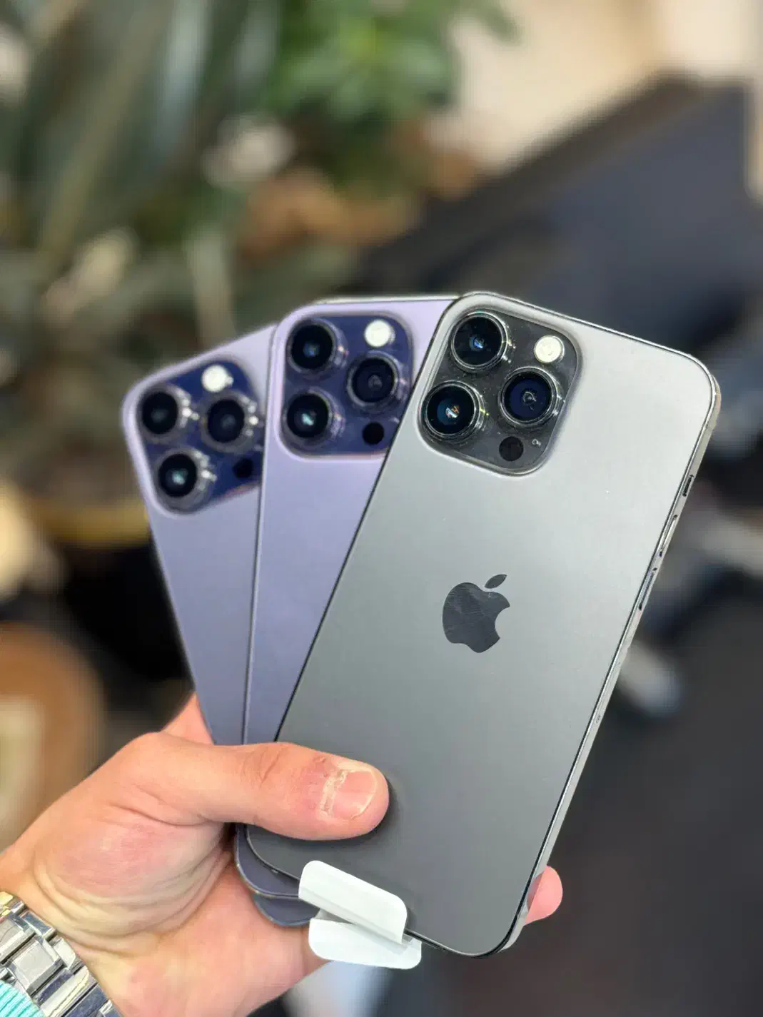 پرو مکسiPhone 14|موبایل|نیشابور, فردوس شمالی|دیوار