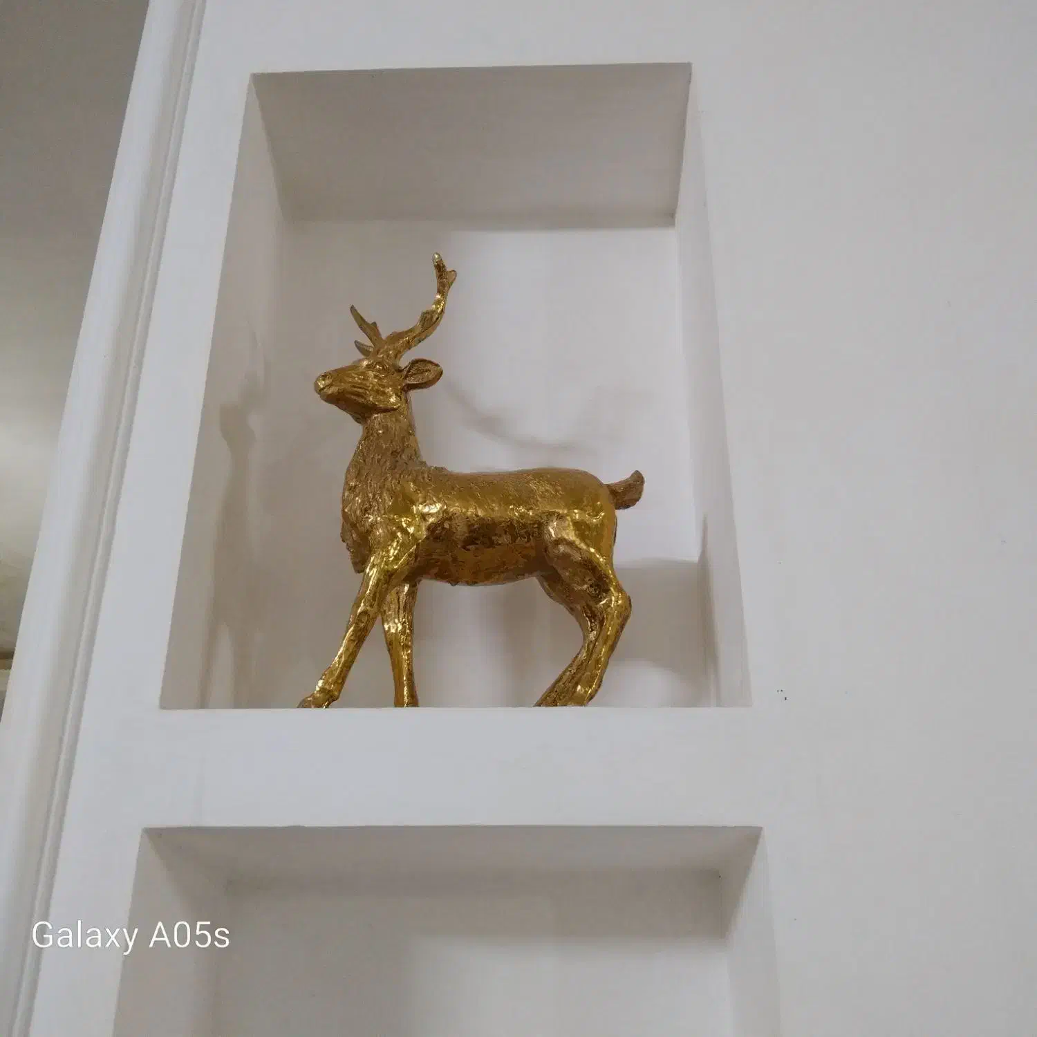 گوزن|مجسمه، تندیس، ماکت|مشهد, پنجتن|دیوار