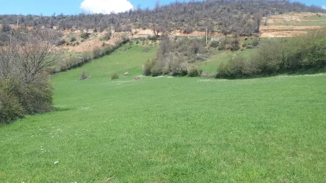 زمین زراعی بره سر (طالکوه)با اجازه ساخت ویلا|فروش دفتر صنعتی، کشاورزی، تجاری|برهسر, |دیوار