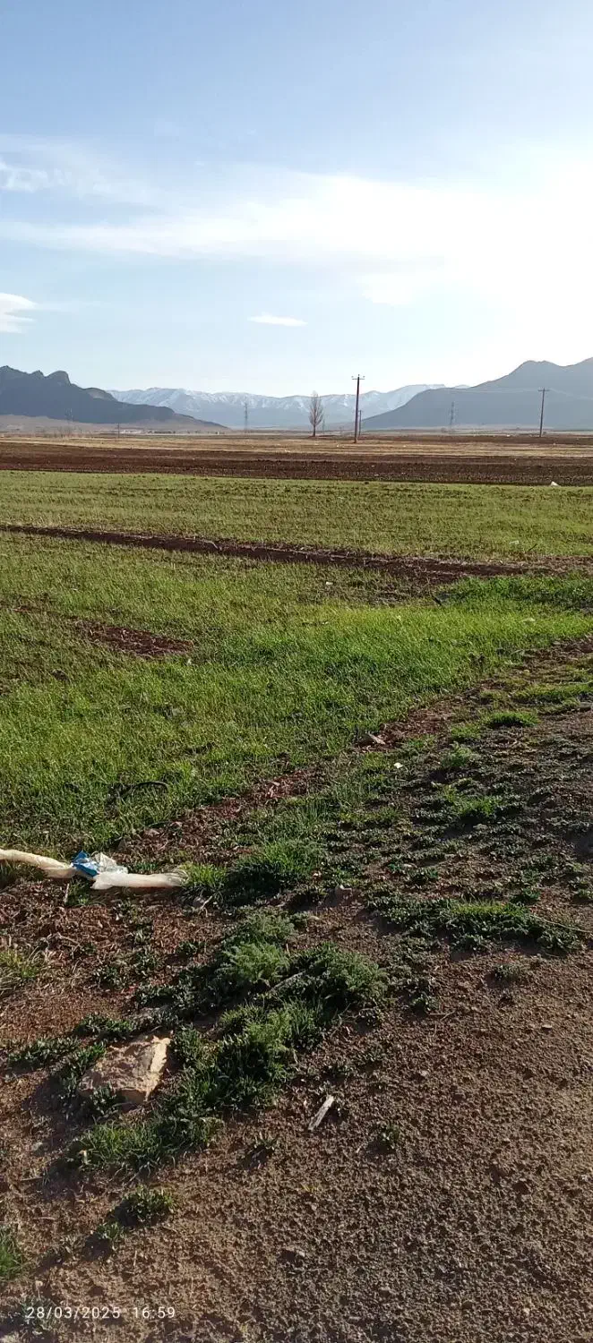 کود گوسفندی نرم و خشک|لوازم جانبی حیوانات|خوانسار, |دیوار