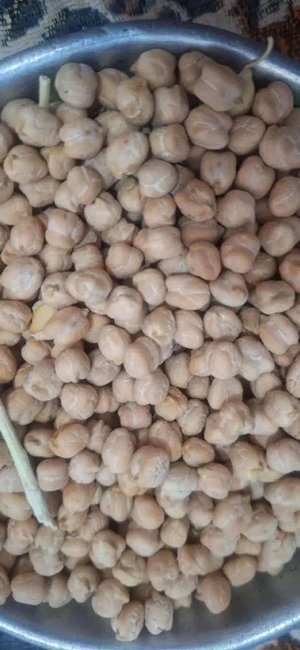 نخود|عمدهفروشی|رزن, |دیوار