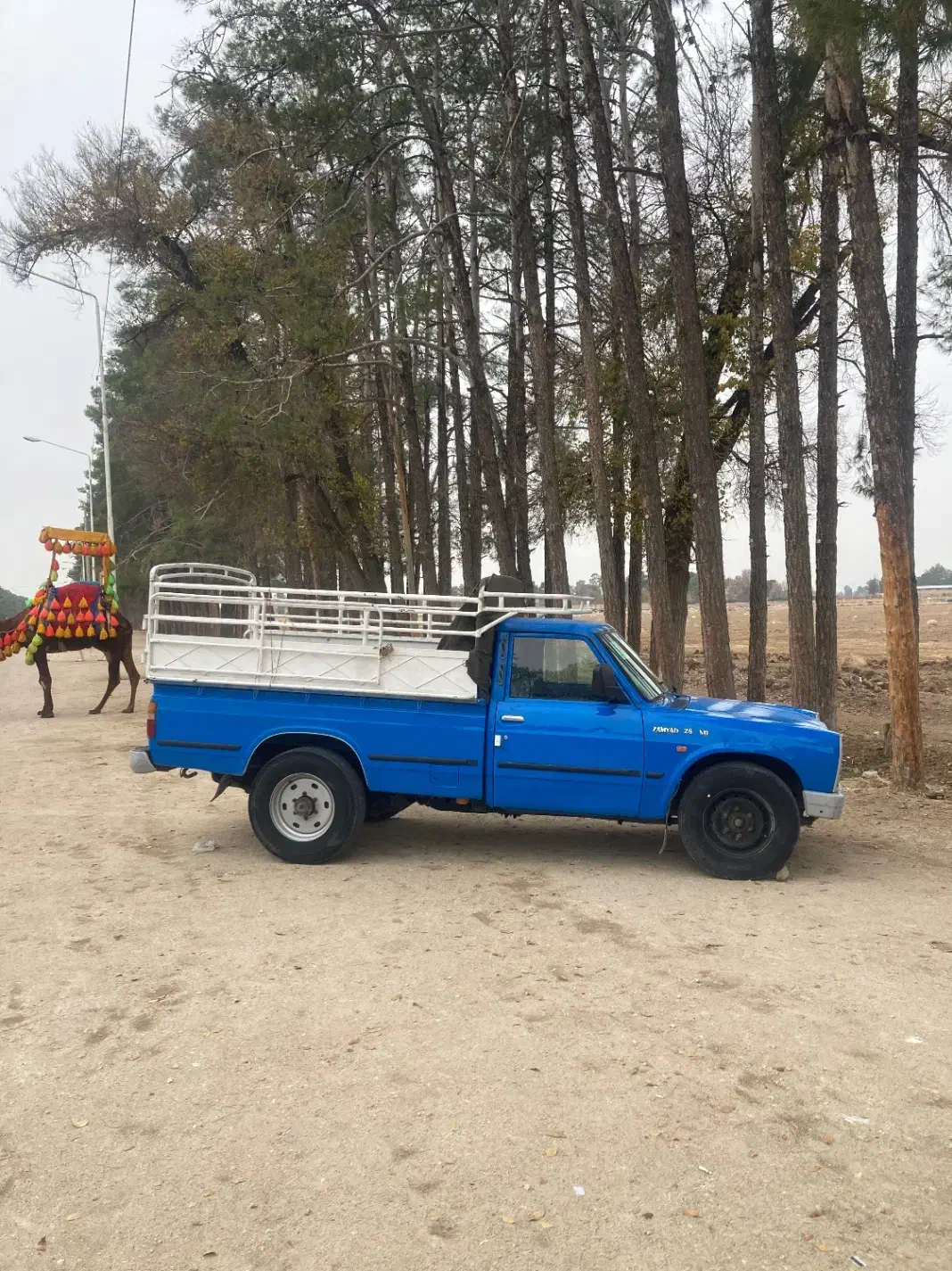 نیسان|خودرو سواری و وانت|شیراز, شهرک گلستان شمالی|دیوار