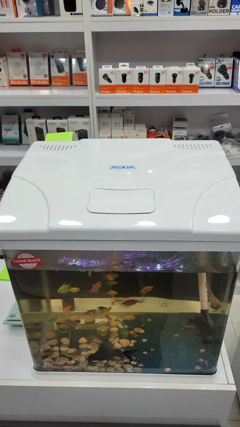 آکواریوم آکوا به همراه متعلقات و ماهی|ماهی|پرند, فاز ۳|دیوار