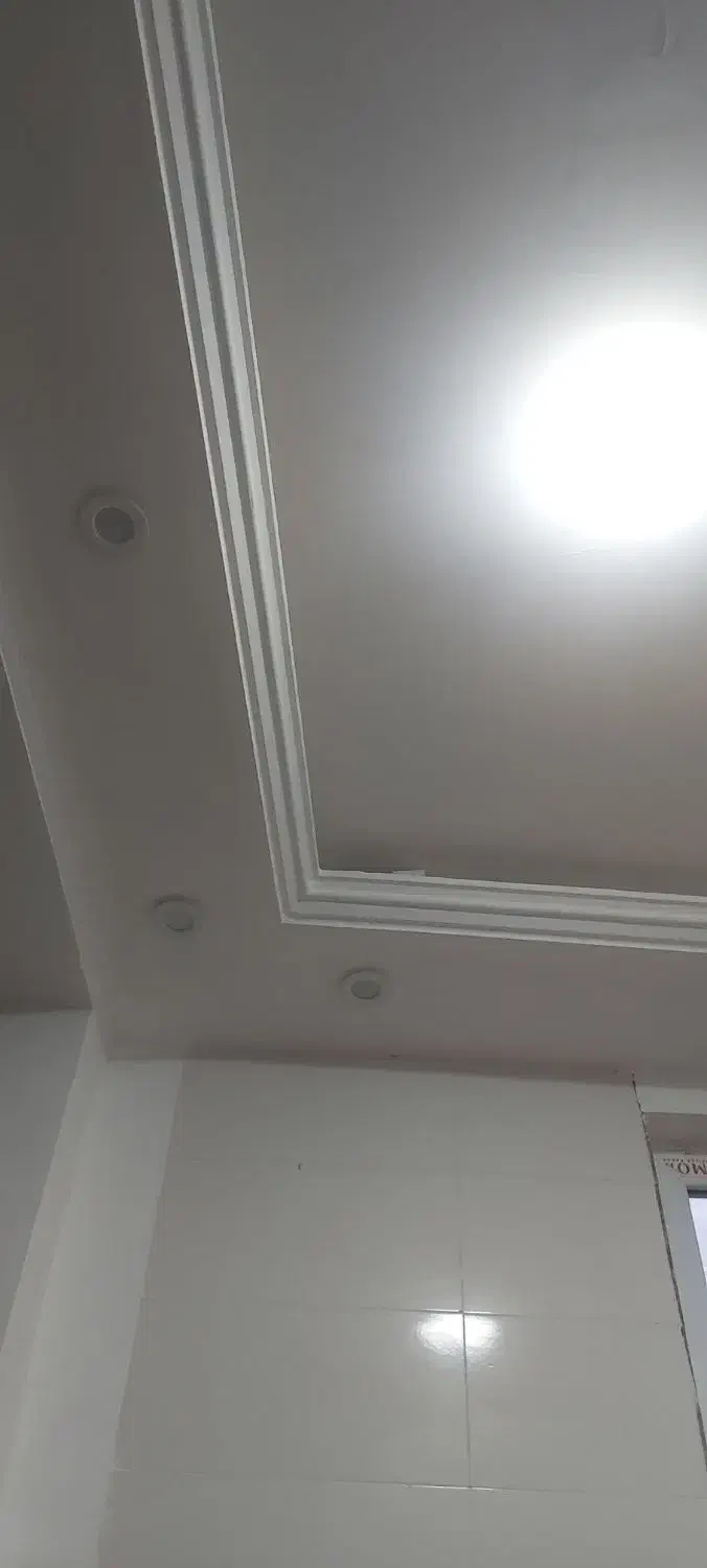 ماکت گل و گچ.وسفید|گل و گیاه طبیعی|آبدانان, |دیوار