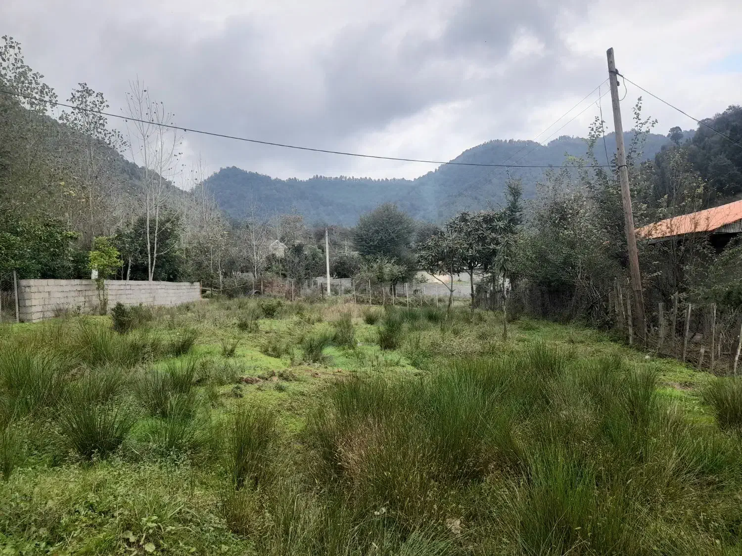 زمین مسکونی کوهپایه ای فاصله ۱۰۰ متری استخر دوقلو|فروش زمین و ملک کلنگی|ماکلوان, |دیوار