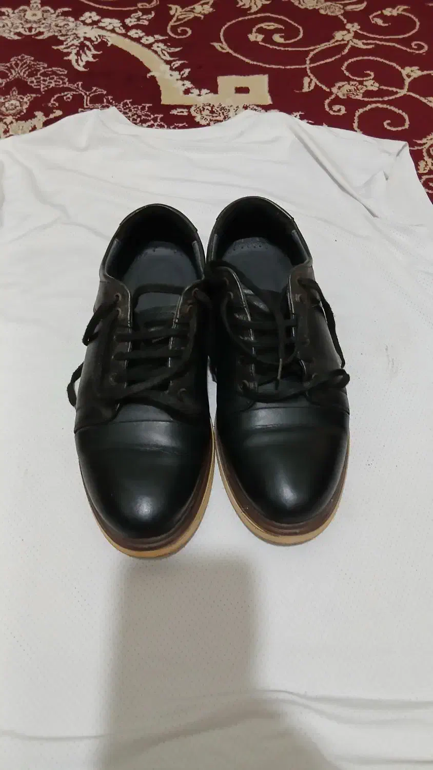 کفش هم مجلس وهم اداری|کیف، کفش، کمربند|قائمشهر, |دیوار